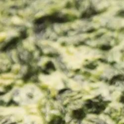 Mix Creamy Vegetable in Spinach Curry