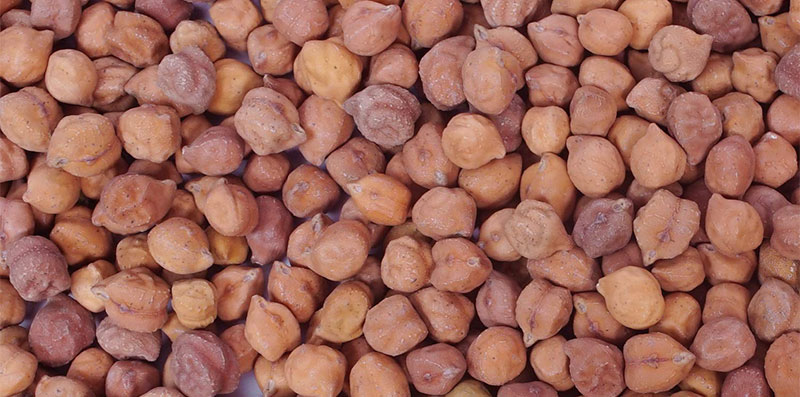 Black Chana