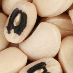 Black Eyed Beans