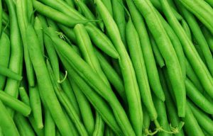 Beans