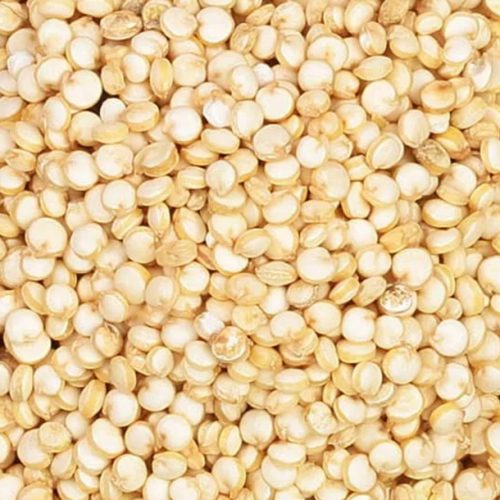 Quinoa