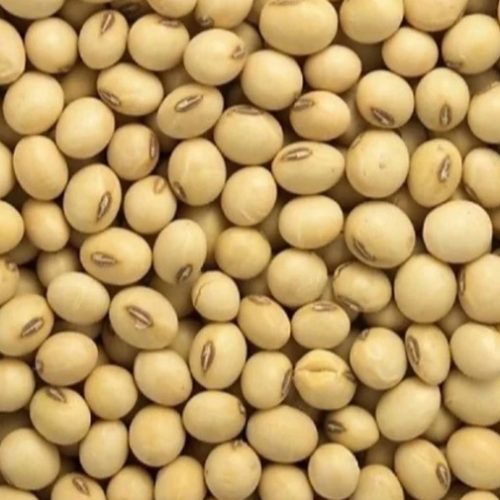 Soyabean