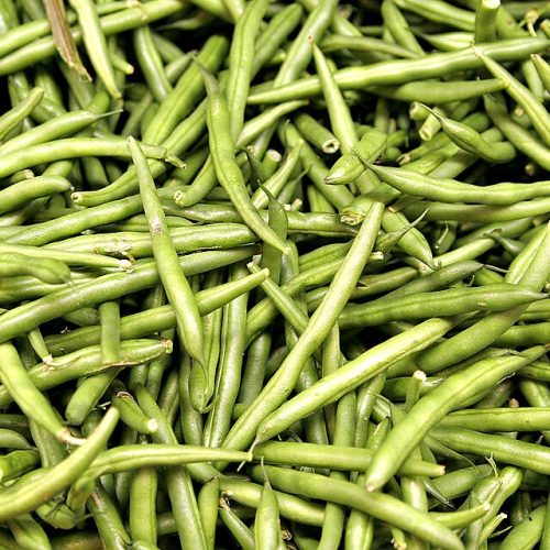 Green Beans - French Beans